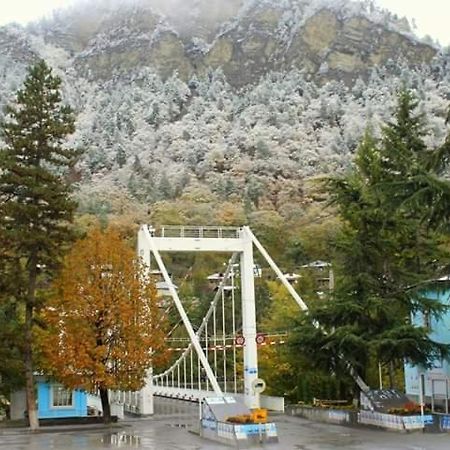 Tamarioni Hotell Borjomi Eksteriør bilde