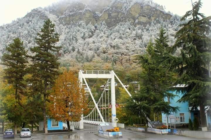 Tamarioni Hotell Borjomi Eksteriør bilde